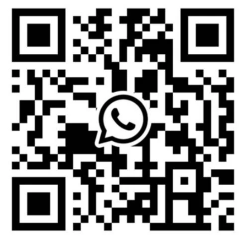WhatsApp:8617301973913